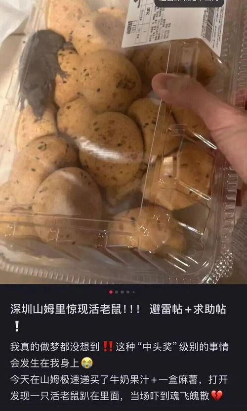 山姆會員店麻薯盒現活老鼠引熱議 律師指其違反食品安全法