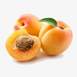 專業(yè)免摳素材 三個(gè)黃桃高清產(chǎn)品圖PNG免費(fèi)下載