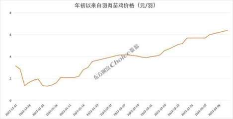價(jià)格暴漲374%，新一輪“雞周期”來(lái)了？苗雞市場(chǎng)異動(dòng)背后的邏輯與展望